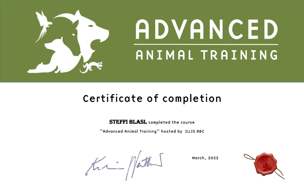 Advanced Animal Training