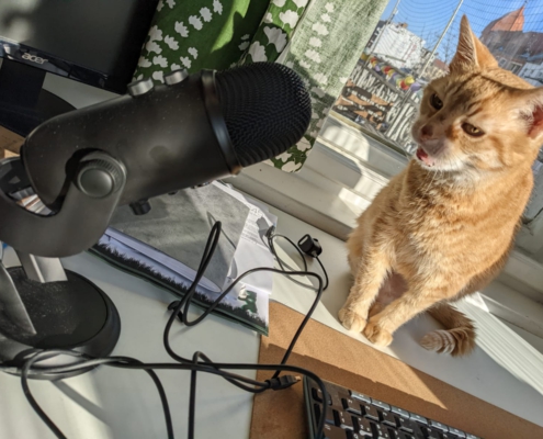 Teaser vom Podcast Katzenkult